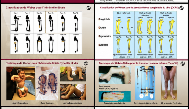 Image justificative de la cagnotte