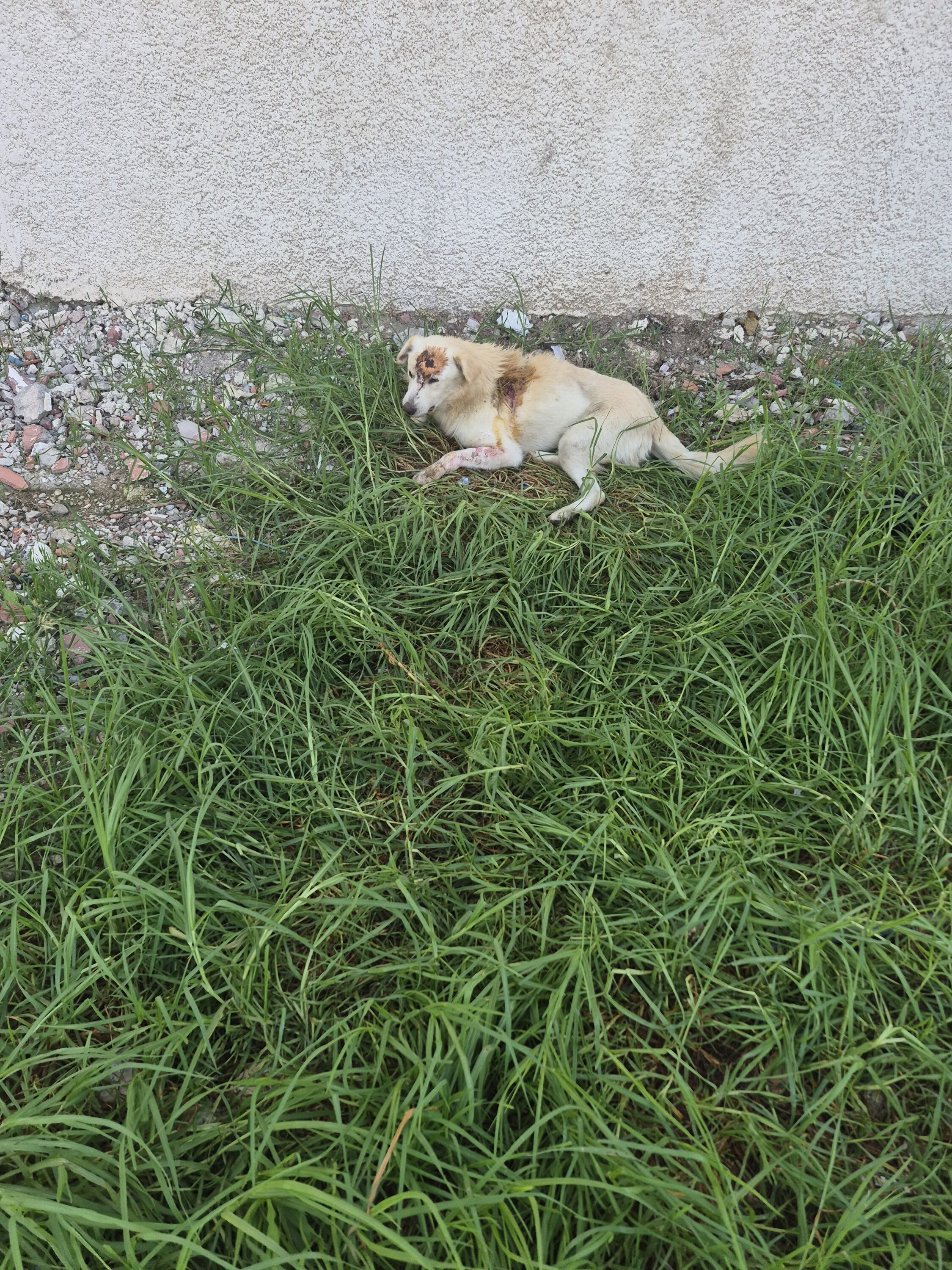 Image justificative de la cagnotte