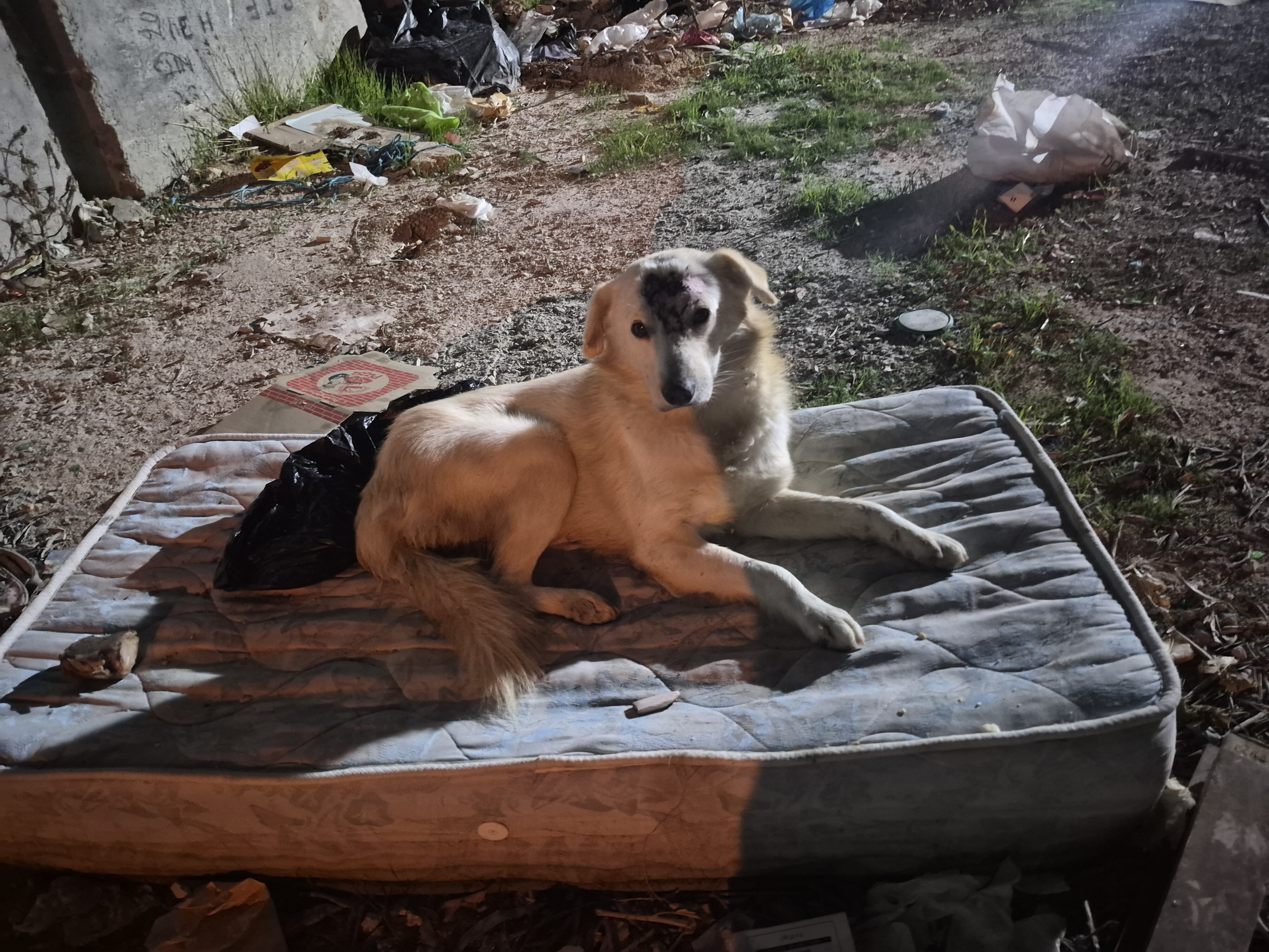 Image justificative de la cagnotte