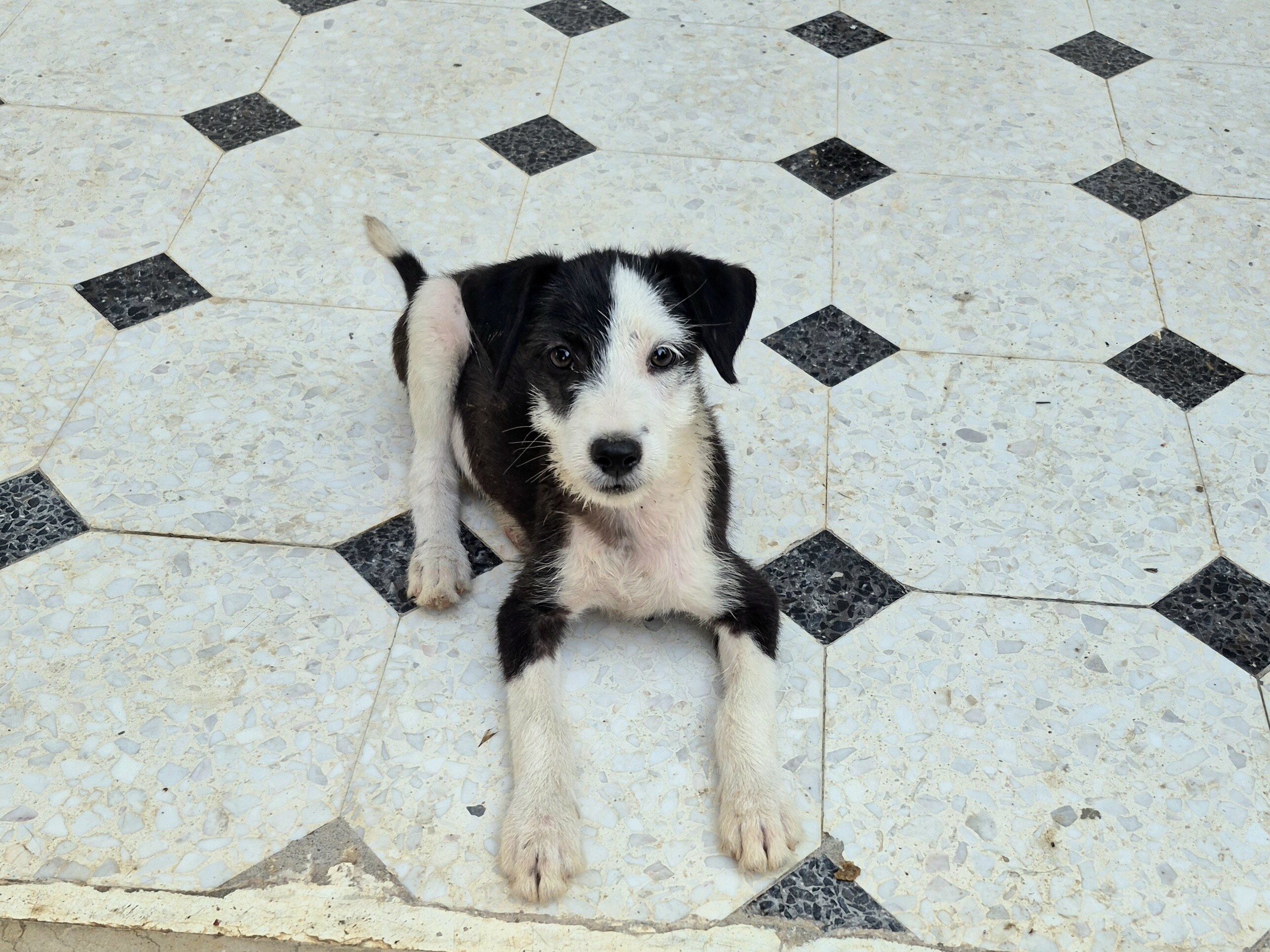 Image justificative de la cagnotte