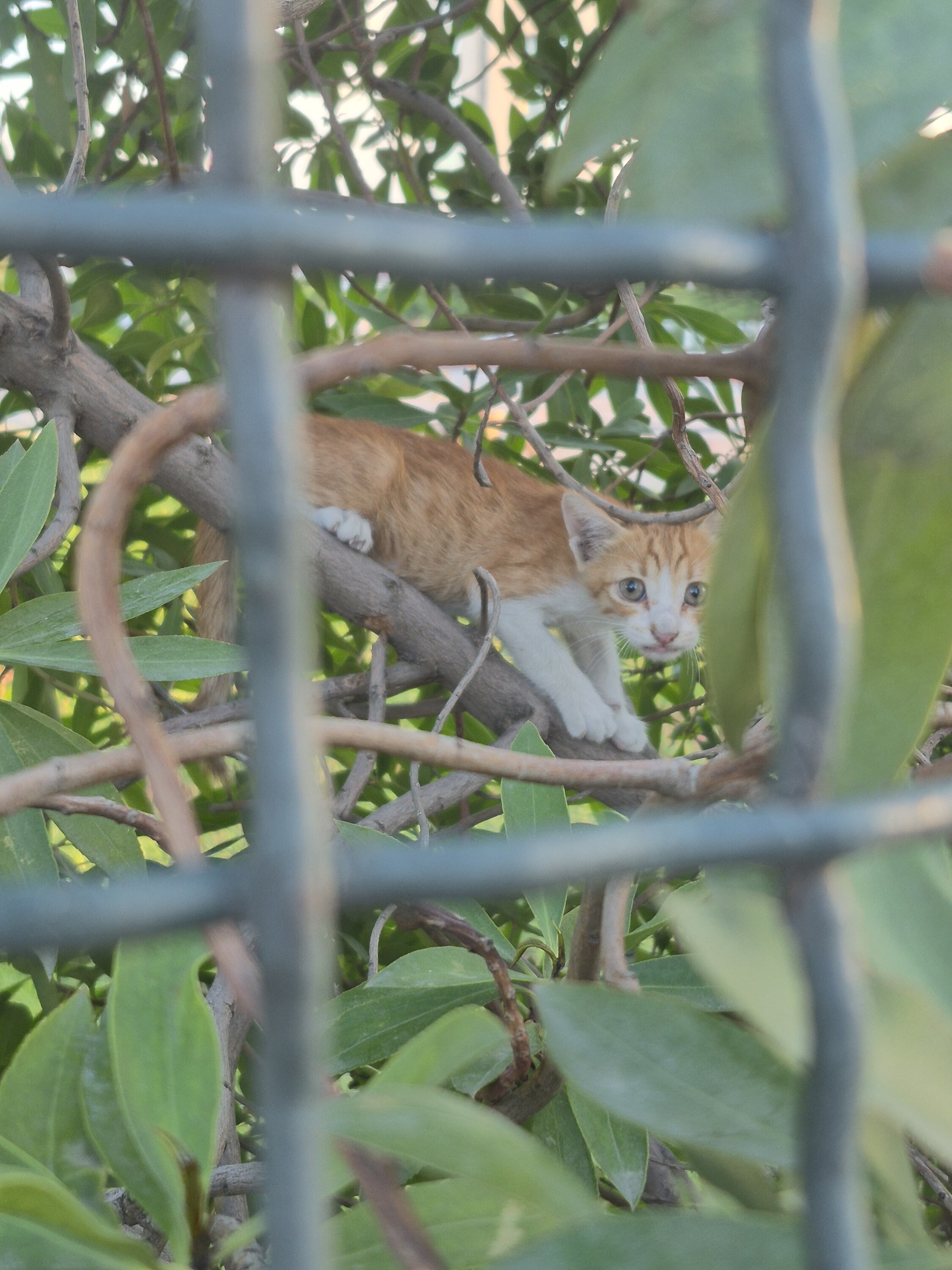 Image justificative de la cagnotte
