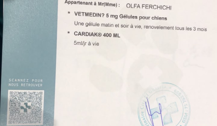 Image justificative de la cagnotte