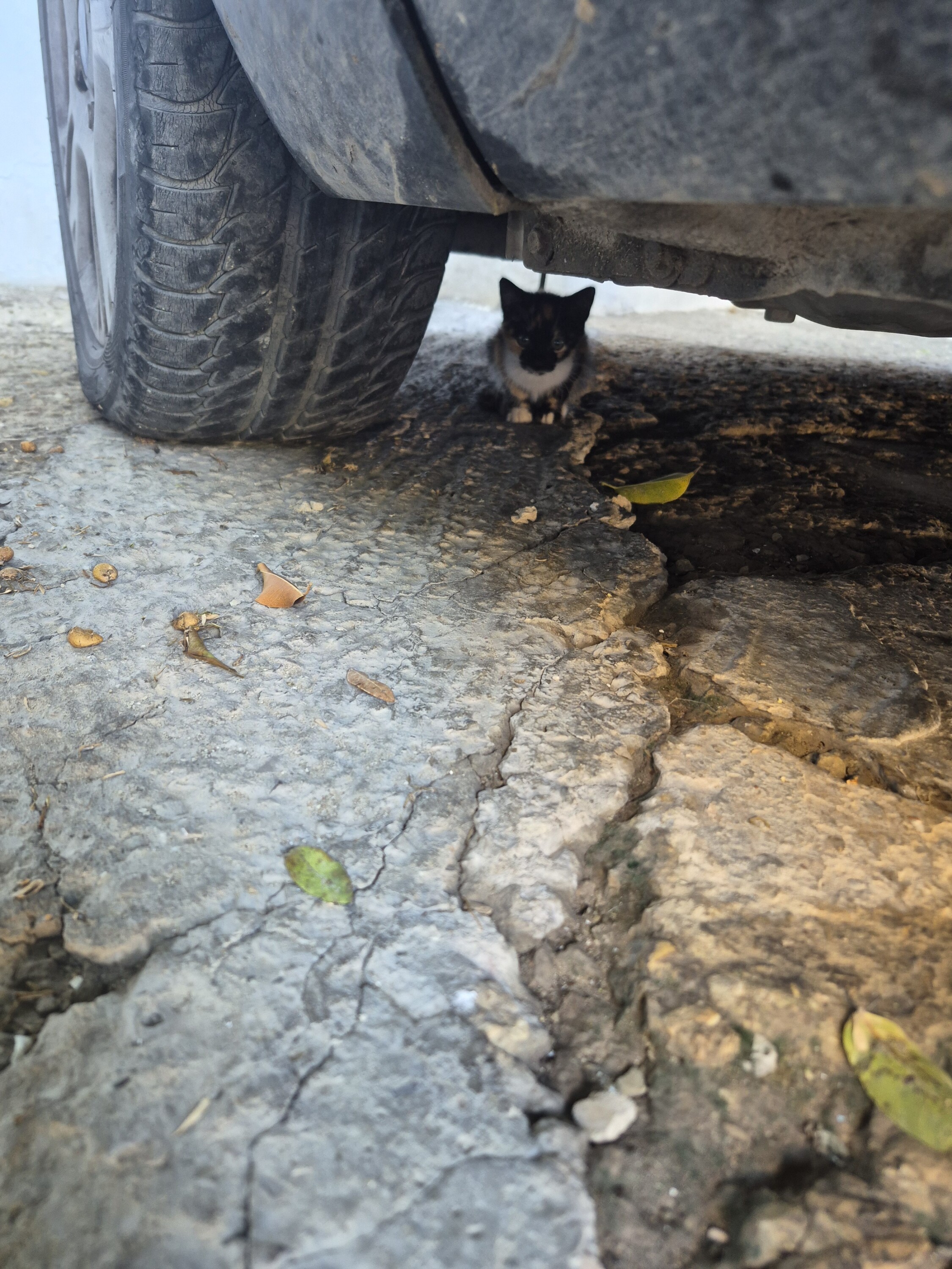 Image justificative de la cagnotte