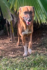 Image justificative de la cagnotte