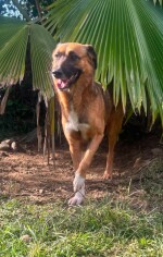 Image justificative de la cagnotte