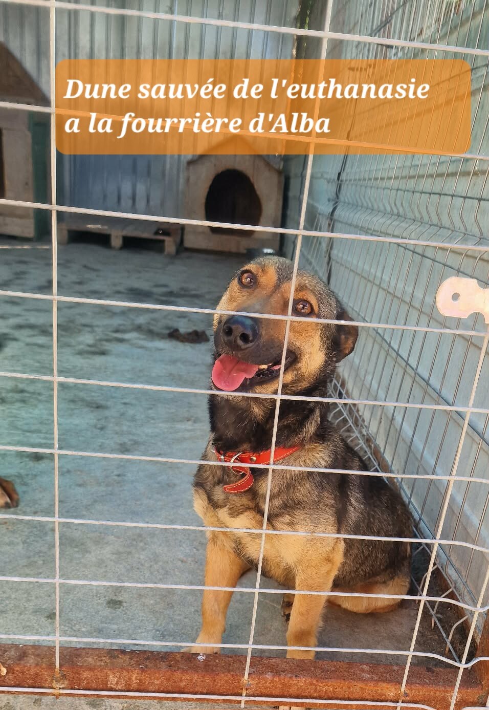Image justificative de la cagnotte