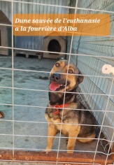 Image justificative de la cagnotte