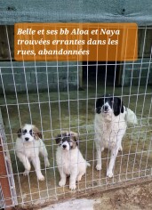 Image justificative de la cagnotte