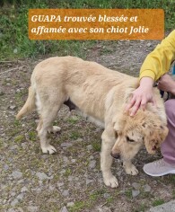 Image justificative de la cagnotte