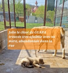 Image justificative de la cagnotte
