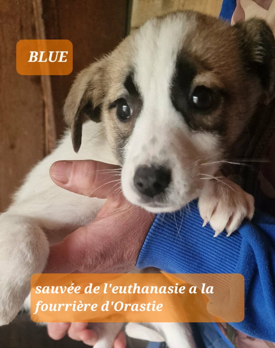 Image justificative de la cagnotte