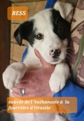 Image justificative de la cagnotte
