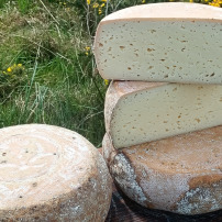 Fromages vivants, artisans passionnés : aidez la Germillotte à continuer