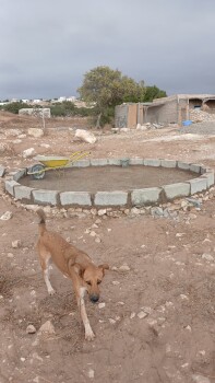 Image justificative de la cagnotte