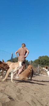 Image justificative de la cagnotte