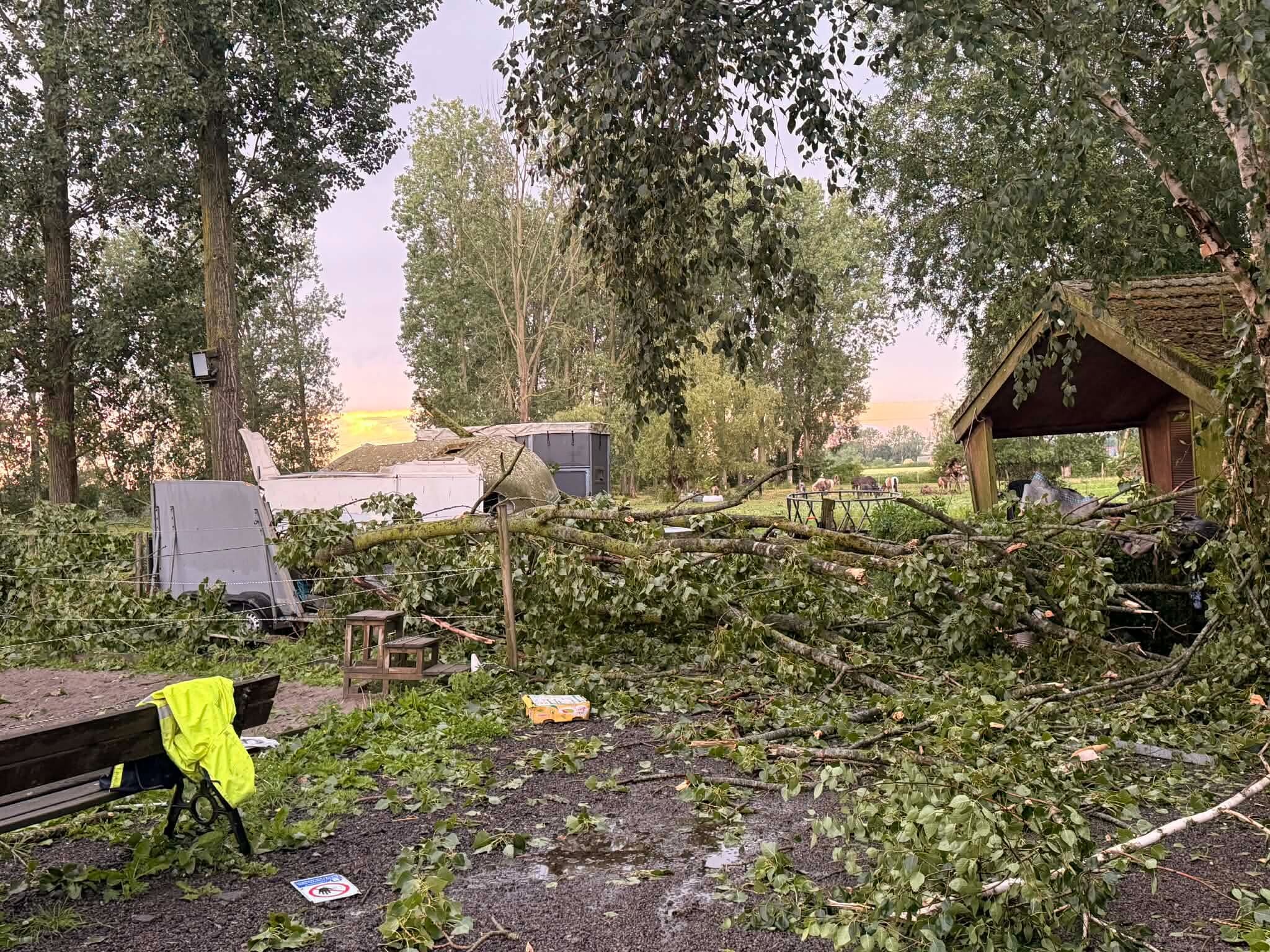 SOS Écuries : Opération réparations après les violents orages de la canicule