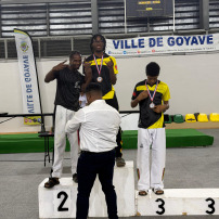Championnat du monde de taekwondo 