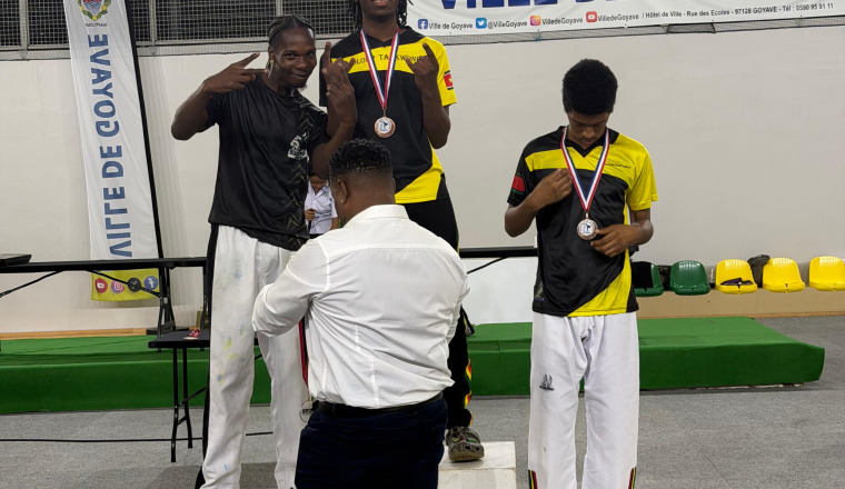 Championnat du monde de taekwondo 