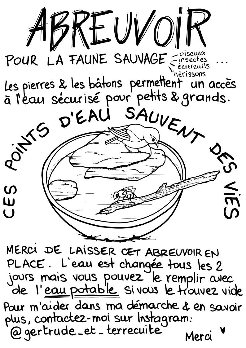 Image justificative de la cagnotte