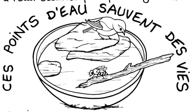 Image justificative de la cagnotte