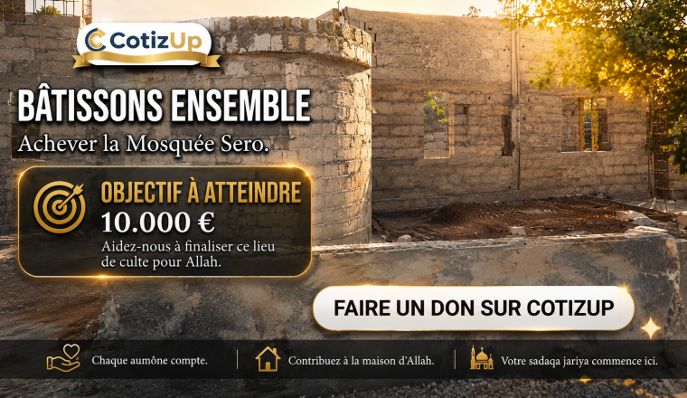 Construction d’une mosquée en cour