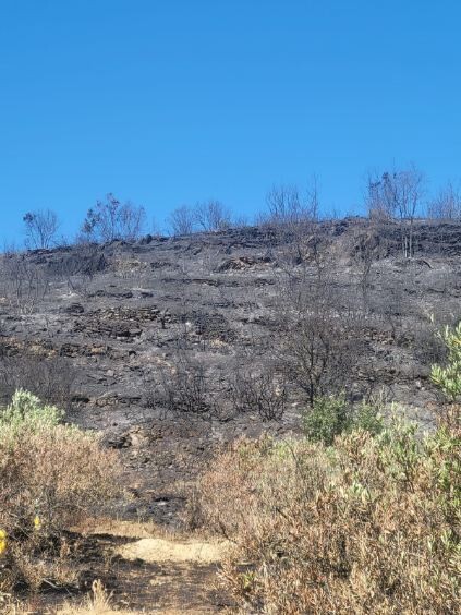 Paysan en détresse incendie Pyrénées orientales 