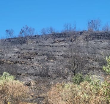 Paysan en détresse incendie Pyrénées orientales 