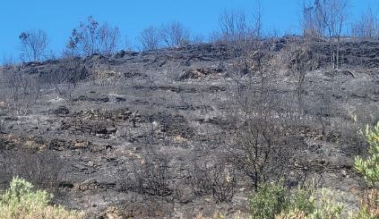Paysan en détresse incendie Pyrénées orientales 