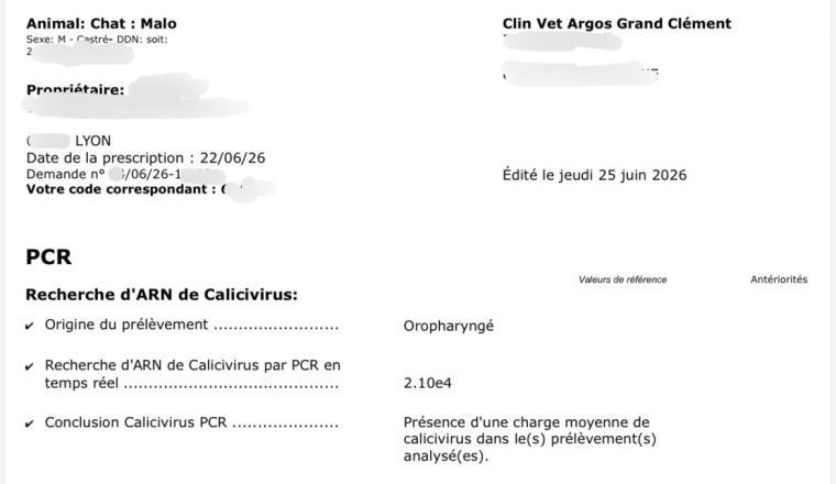 Image justificative de la cagnotte