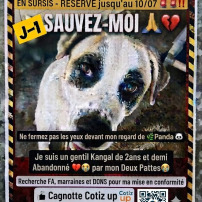 Sauvons Shiro de l’euthanasie 
