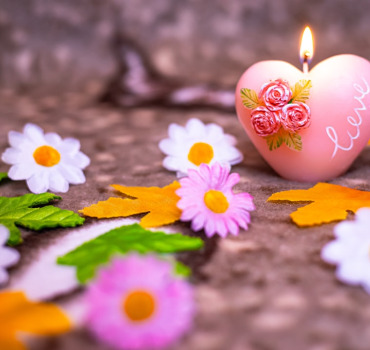 Solidarité : soutenons-nous et aimons-nous de notre vivant. 🤝🏾❤️🕊️