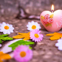 Solidarité : soutenons-nous et aimons-nous de notre vivant. 🤝🏾❤️🕊️