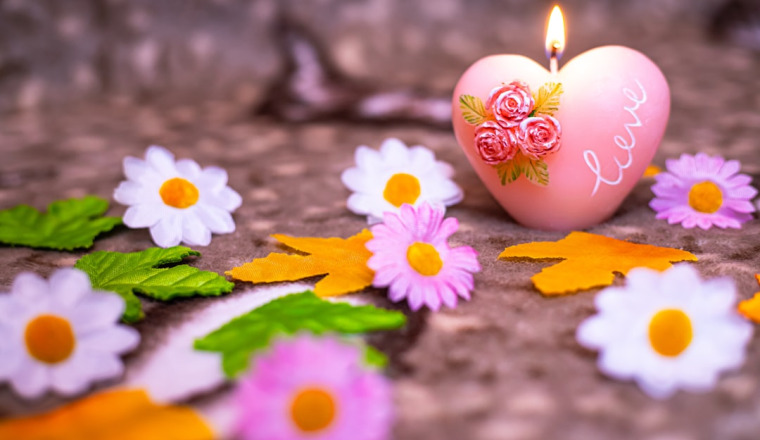 Solidarité : soutenons-nous et aimons-nous de notre vivant. 🤝🏾❤️🕊️