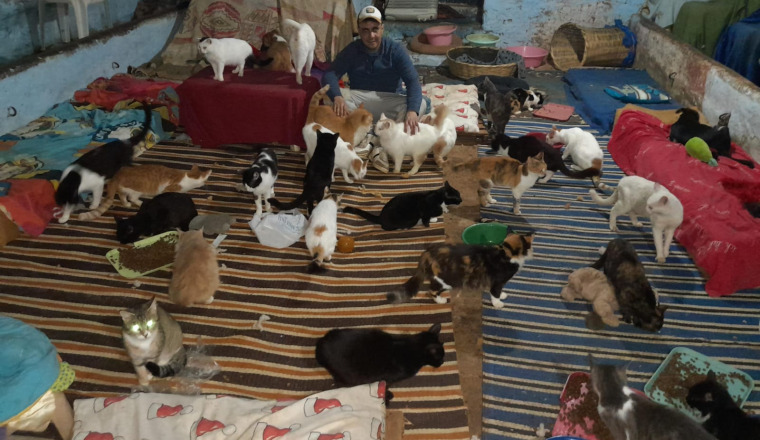 Aide au refuge des Tarikochats juillet 