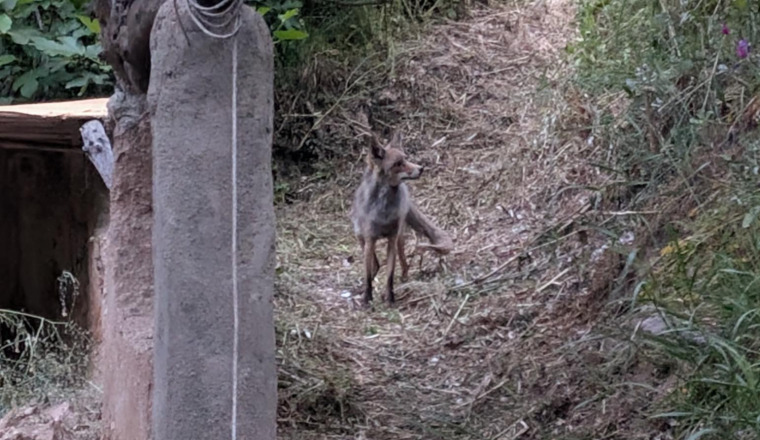 Image justificative de la cagnotte