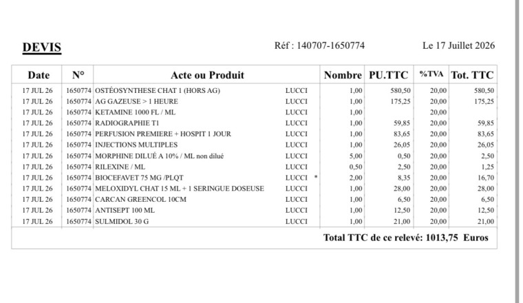 Image justificative de la cagnotte
