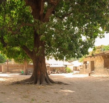 Masjid en Casamance : Kabadio 🕌