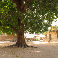Masjid en Casamance : Kabadio 🕌