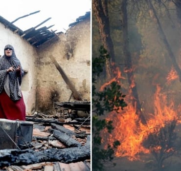 Urgence l'Algérie brûle 🆘