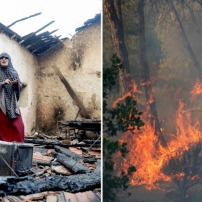 Urgence l'Algérie brûle 🆘