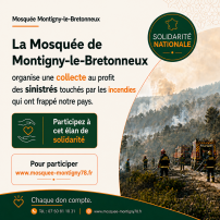 Solidarité avec les sinistrés des incendies