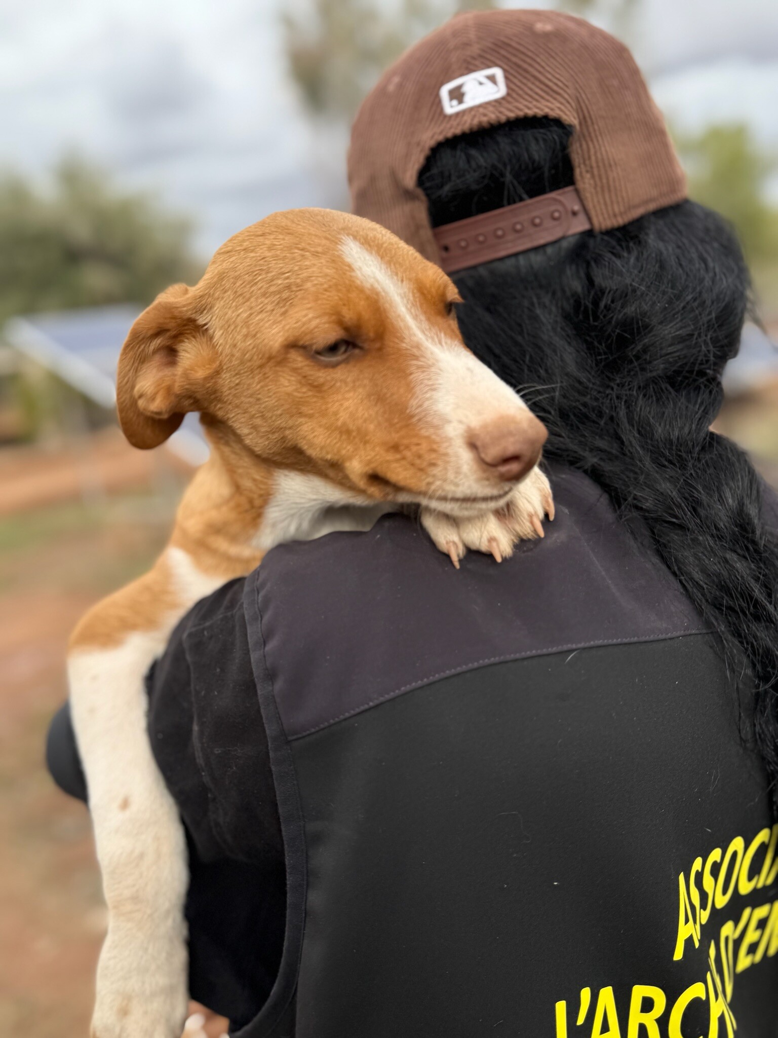     Urgence sauvetages : ils ont besoin de vous