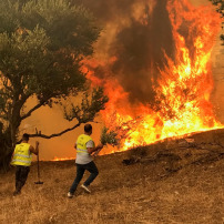 Venir en aide pour des personnes qui ont tout perdu dans les feux en Algérie (Solidarité)
