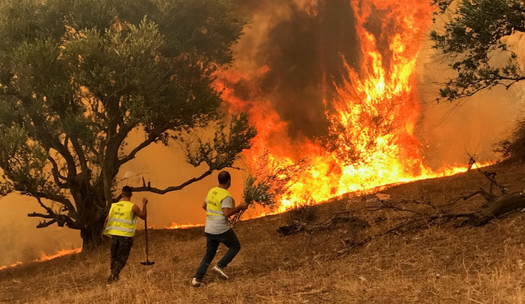 Venir en aide pour des personnes qui ont tout perdu dans les feux en Algérie (Solidarité)