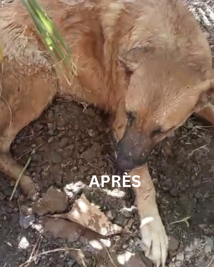 Image justificative de la cagnotte
