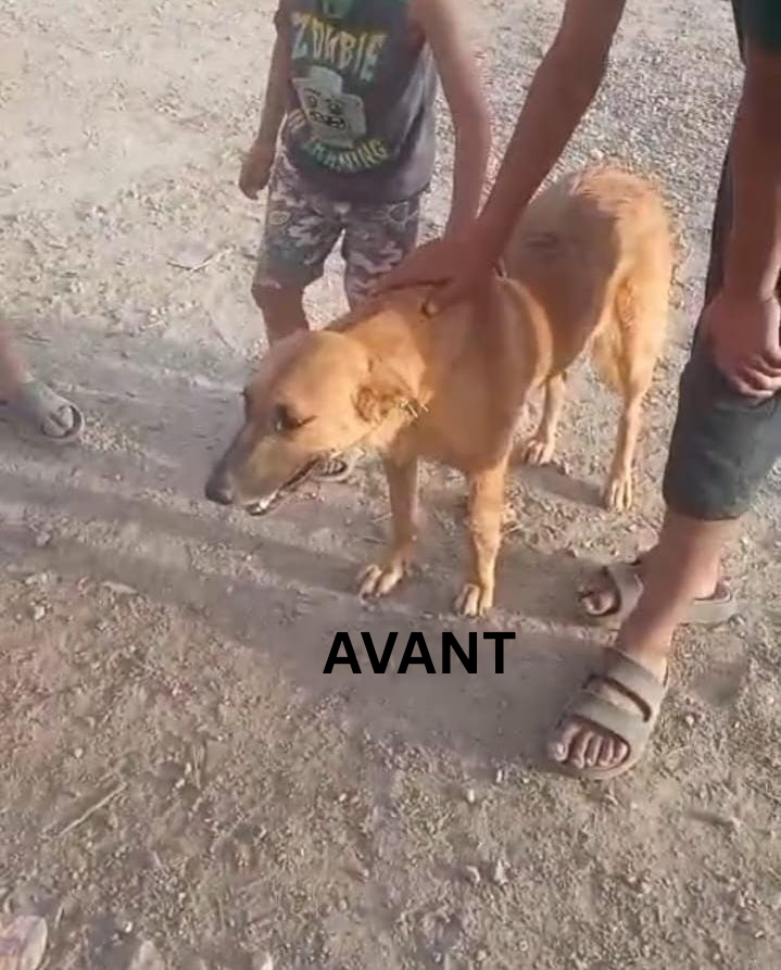 Image justificative de la cagnotte