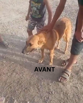 Image justificative de la cagnotte