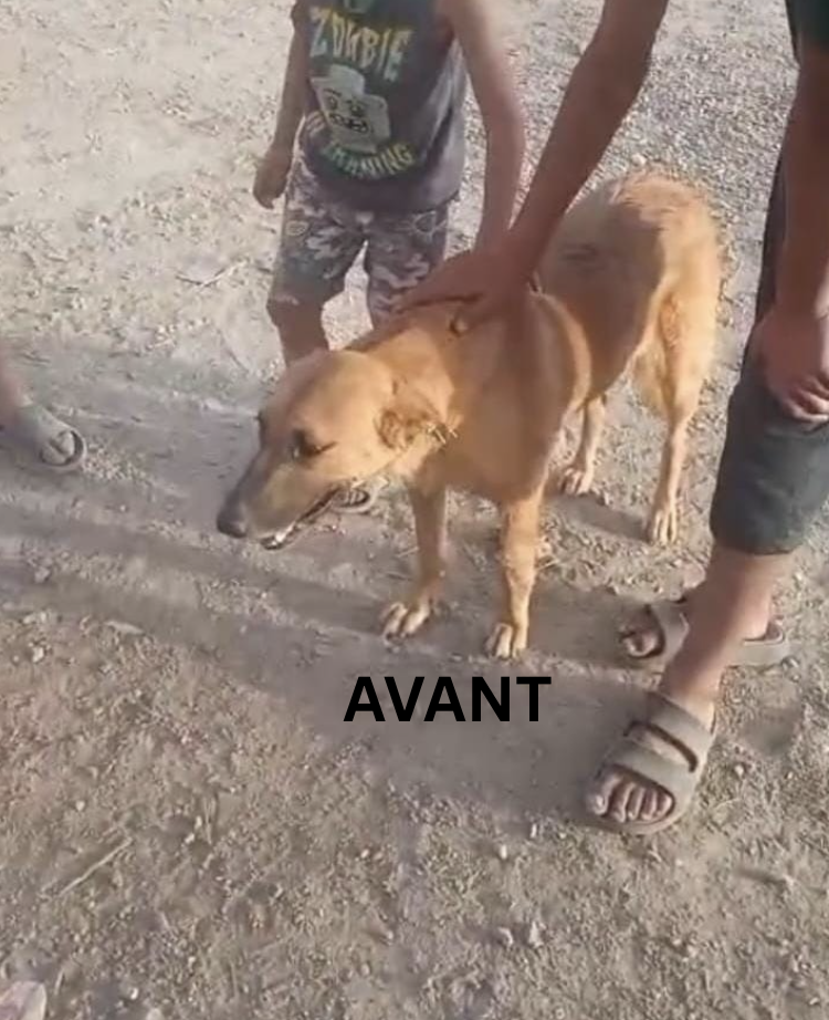 Image justificative de la cagnotte