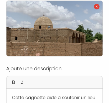 🕌 ENSEMBLE, ACHEVONS LA GRANDE MOSQUÉE DE BARKÉDJI