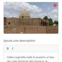 🕌 ENSEMBLE, ACHEVONS LA GRANDE MOSQUÉE DE BARKÉDJI